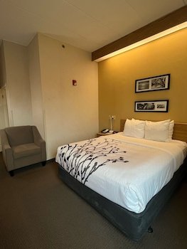Sleep Inn Lynchburg - University Area & Highway 460