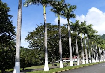 Viva Tambor Vacation Residences