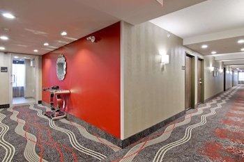 Hampton Inn And Suites By Hilton Toronto Markham