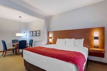 Comfort Suites La Porte