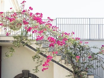 Donna Carmela Resort & Lodges