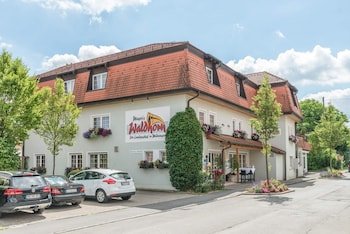 Mayer`s Waldhorn