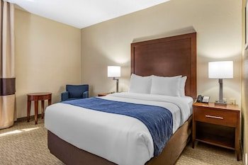 Comfort Inn Near Greenfield Village