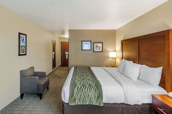 Comfort Inn University