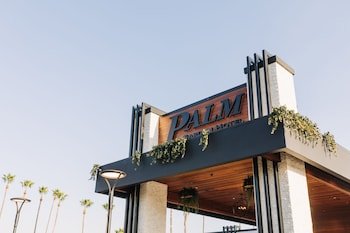 Palm Garden