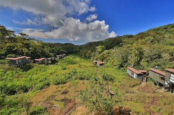 The Rainforest Ecolodge