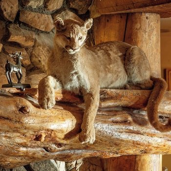 Snake River Lodge & Spa