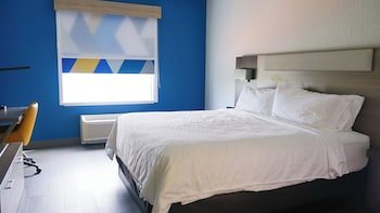 Holiday Inn Express & Suites Lakeland North - I-4
