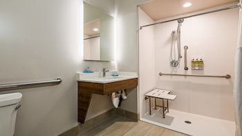 Holiday Inn Express & Suites Detroit - Farmington Hills