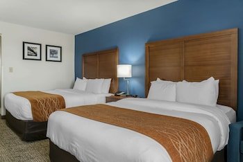 Comfort Inn East