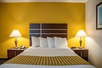 Best Western Village Inn