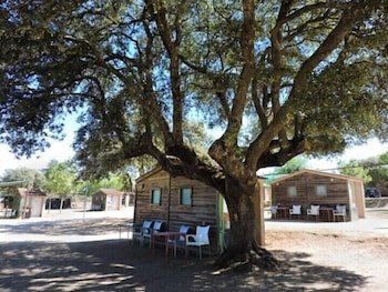 Camping Bungalows Ciudad de Cáceres