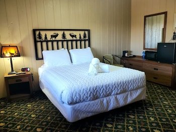 The Carter Inn