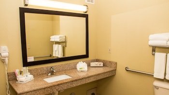 Holiday Inn Express & Suites Saginaw