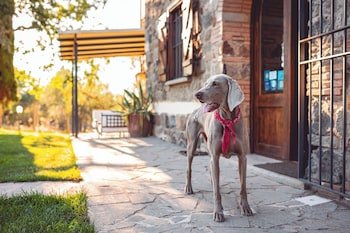 B&B Le Pozze