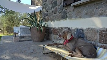 B&B Le Pozze
