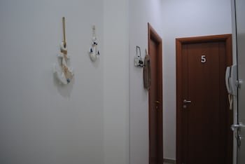 Molo 5