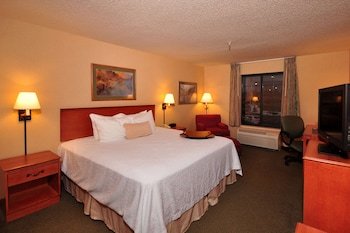 Hampton Inn Kansas City/Village West