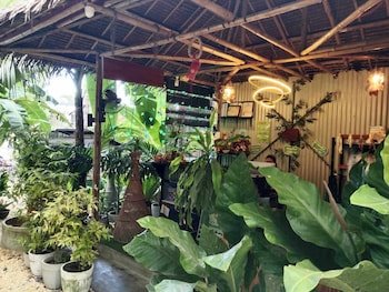 Ecostay Panglao Resort Hotel