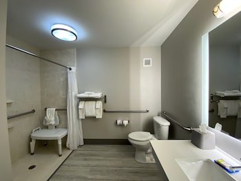 Holiday Inn Express Hotel & Suites Somerset Central