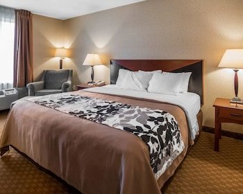 Rodeway Inn & Suites