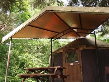 Pica Fuji Saiko Lake Campsite