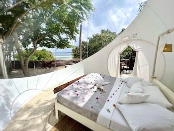 Rock and Sea Glamping - Bubble Ecolodge