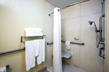Holiday Inn Express Hotel & Suites Vandalia