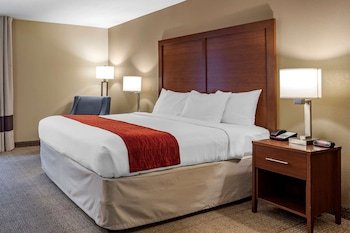 Comfort Inn Biltmore West