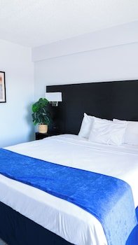 Dolphin Inn Virginia Beach