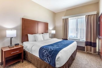 Comfort Suites Near Denver Downtown