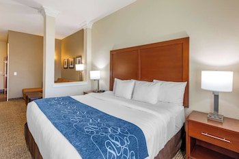 Comfort Suites Near Denver Downtown