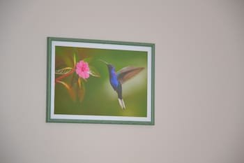 Le Colibri Bleu