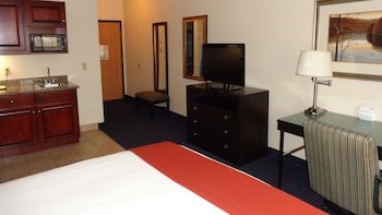 Holiday Inn Express & Suites New Buffalo, MI
