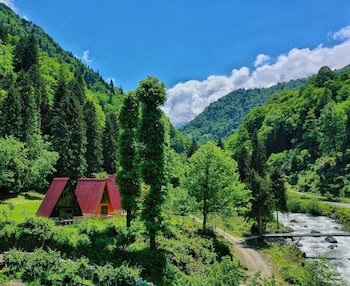 Kotit Ayder