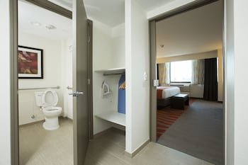 Holiday Inn Houston S - NRG Area - Med Ctr