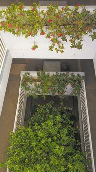 Capital Hotel