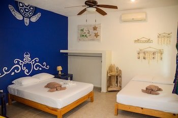 Casa de Las Tortugas I Tour Akumal
