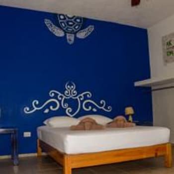Casa de Las Tortugas I Tour Akumal