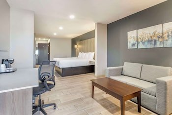 Best Western Plus Edinburg Inn & Suites