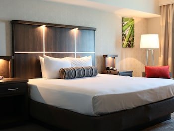 Avi Resort and Casino
