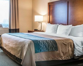 Bluffton Inn And Suites