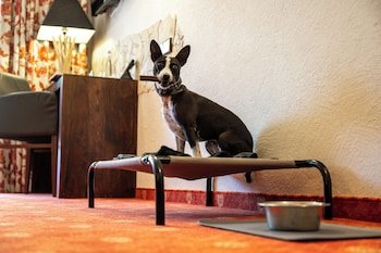 Flair Hotel Sonnenhof