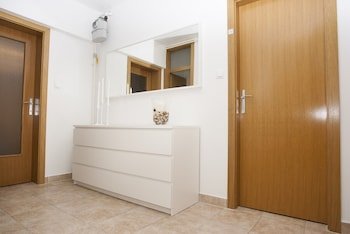 Paw Rooms