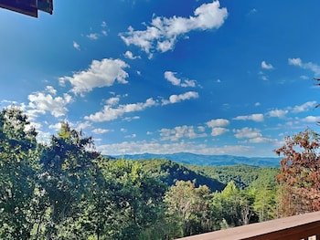 A Majestic View III