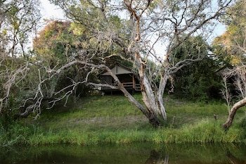 Camp Nkwazi