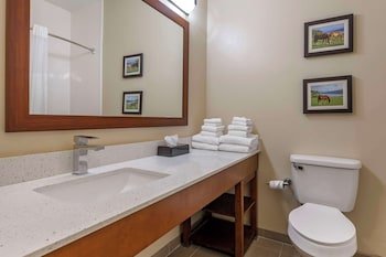 Comfort Suites