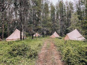 Wander Camp Glacier
