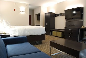 Holiday Inn Express Hotel & Suites Kingsport-Meadowview I-181