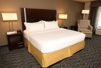 Holiday Inn Express & Suites Omaha South - Ralston Arena